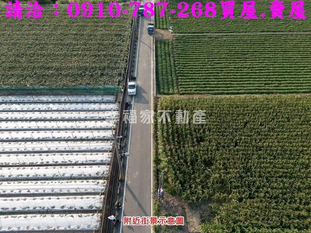 柳營農地-10