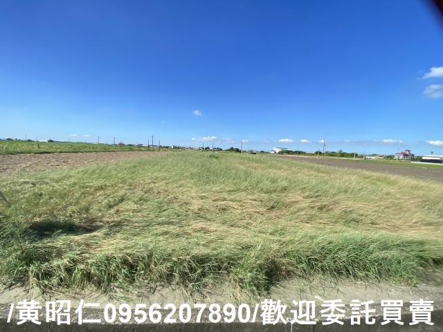 西港農地-0