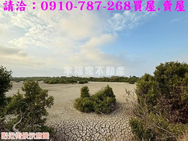 台南農地-10