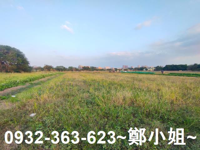 桃園農地-1