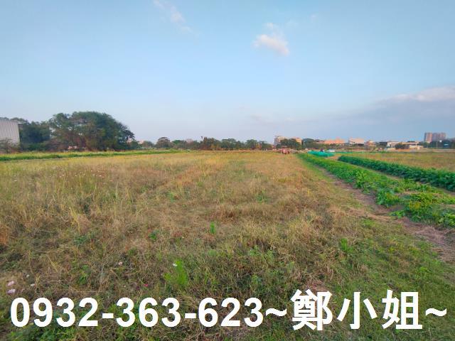 桃園農地-2