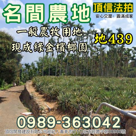 南投名間法拍農地-0