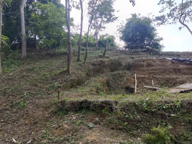 台中太平農地-10