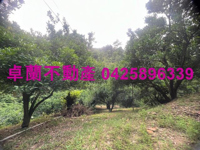 苗栗卓蘭農地-5