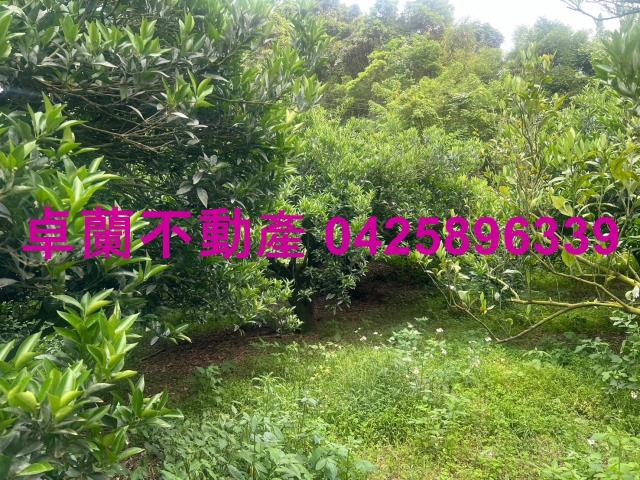 苗栗卓蘭農地-7