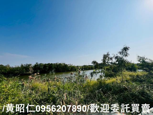 台南安南農地-6