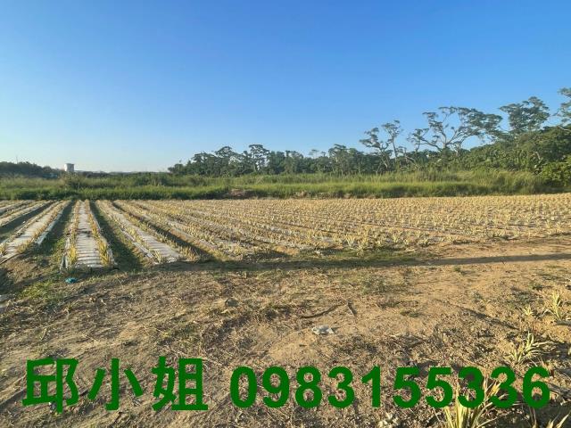 嘉義湖子內阿魯米嘉義建地農地台灣房屋湖子內特許加盟店富鑫團隊