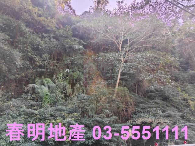 芎林林地-0