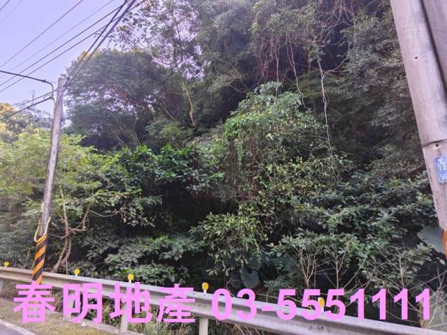 芎林林地-1