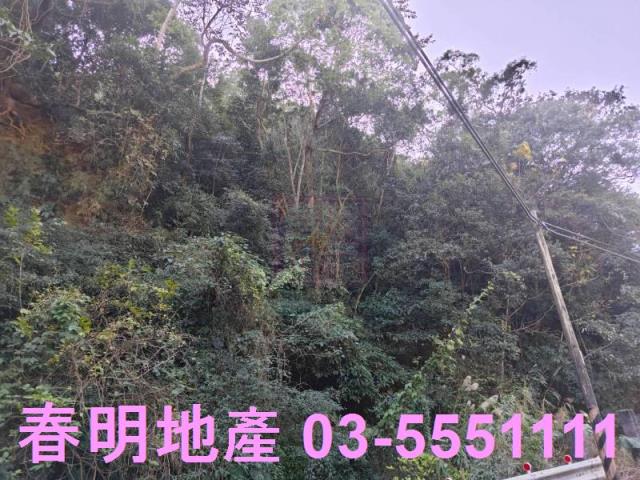 芎林林地-2
