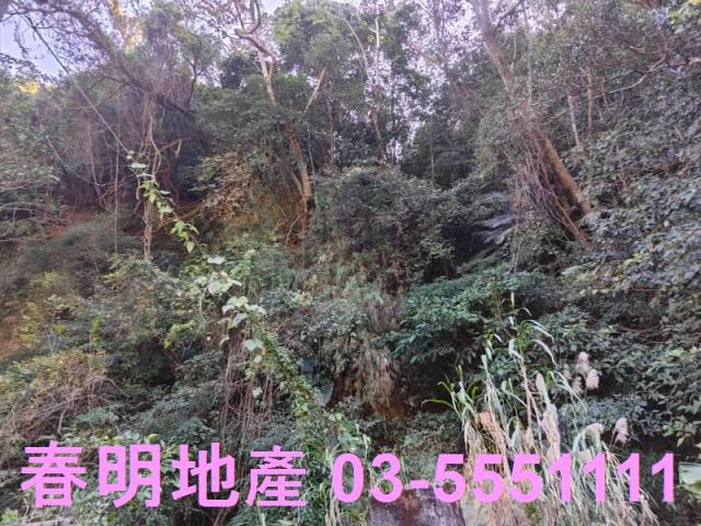 芎林林地-3