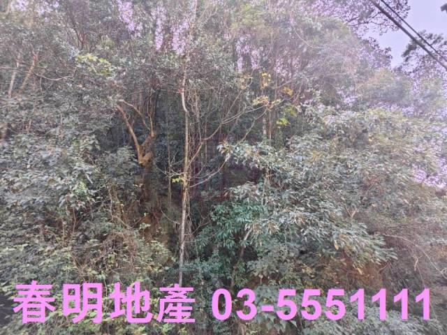 芎林林地-4