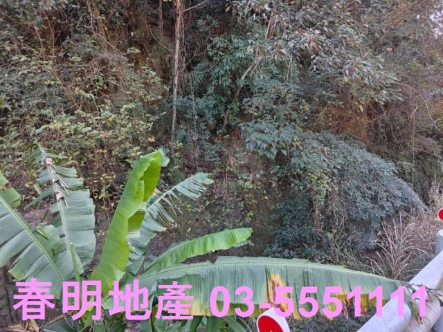芎林林地-5