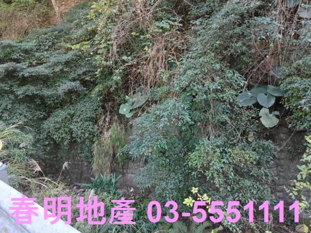 芎林林地-6