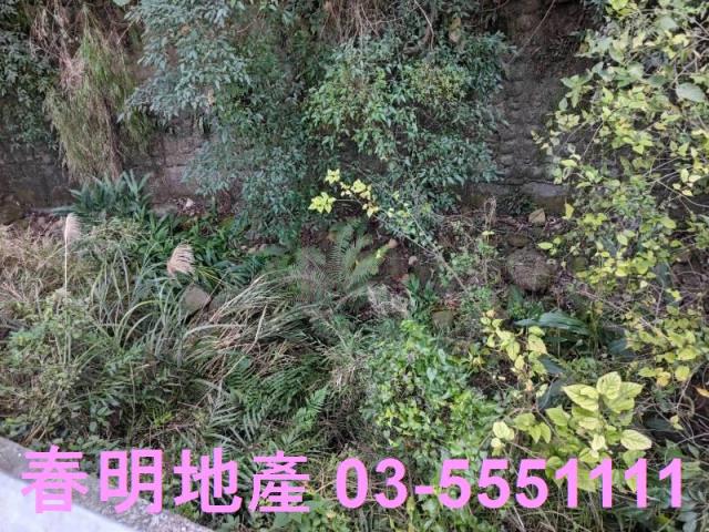 芎林林地-7