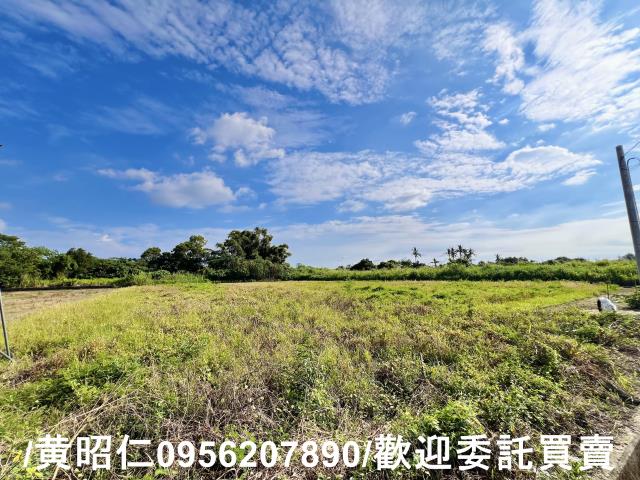台南善化農地-2
