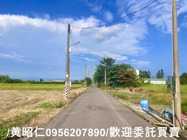 台南善化農地-3