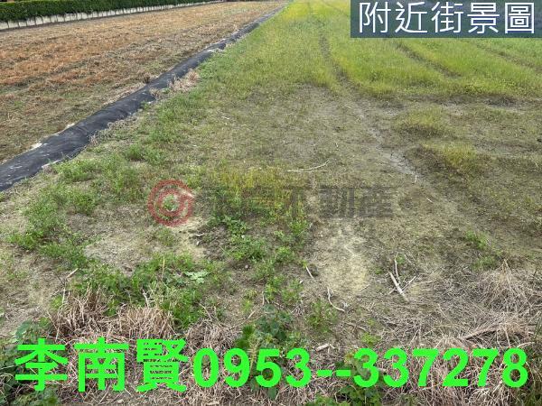 台南永康農地-2