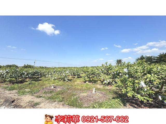 台南玉井農地-6