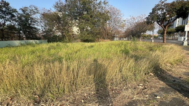 高雄橋頭建地-1