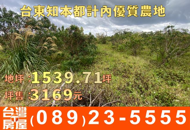 台東台東市農地-4