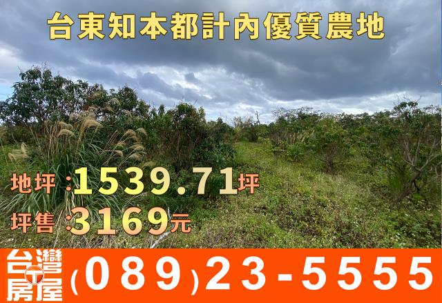 台東台東市農地-11