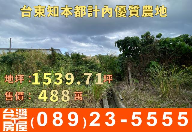 台東台東市農地-2