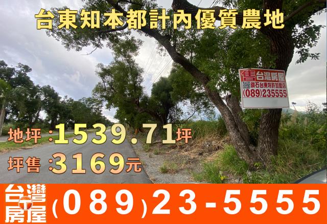 台東台東市農地-0