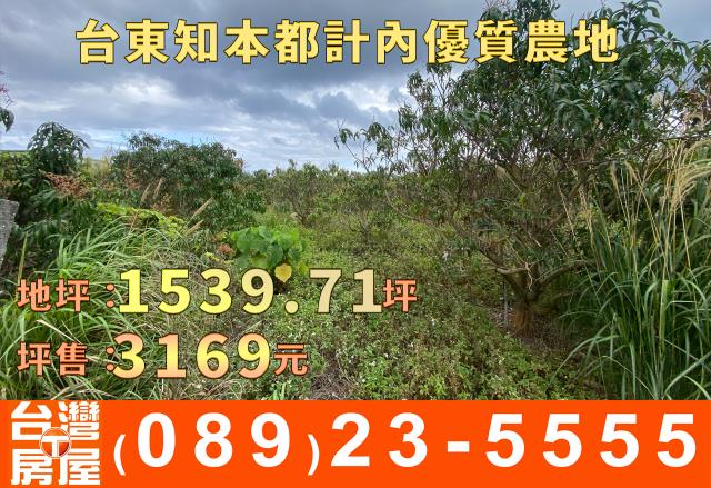 台東台東市農地-9