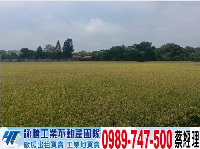 桃園龍潭農地-0