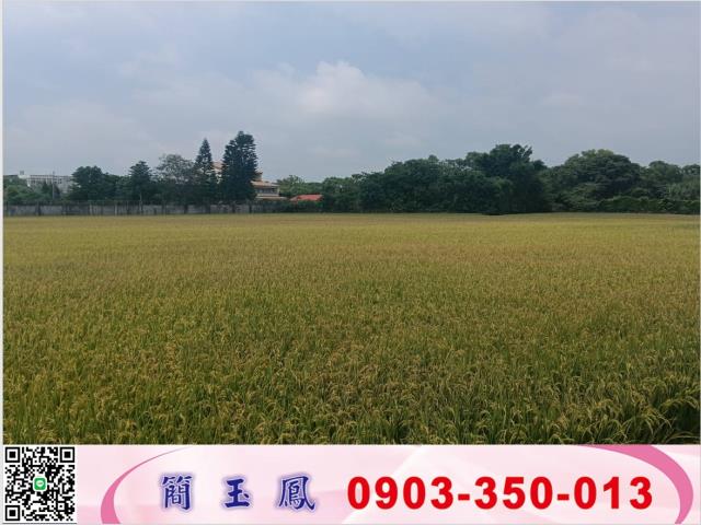 桃園龍潭農地-0
