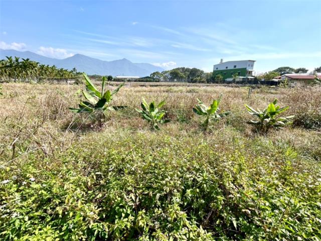 屏東高樹農地-2