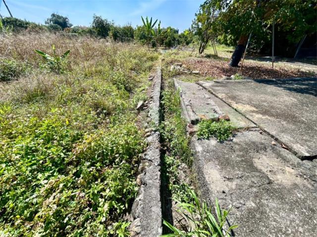 屏東高樹農地-4