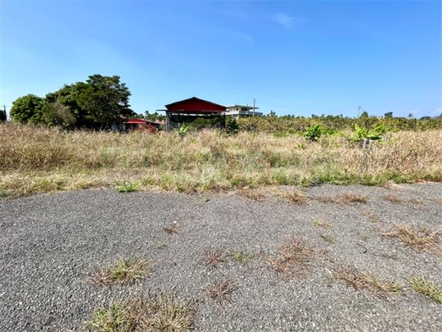 屏東高樹農地-5