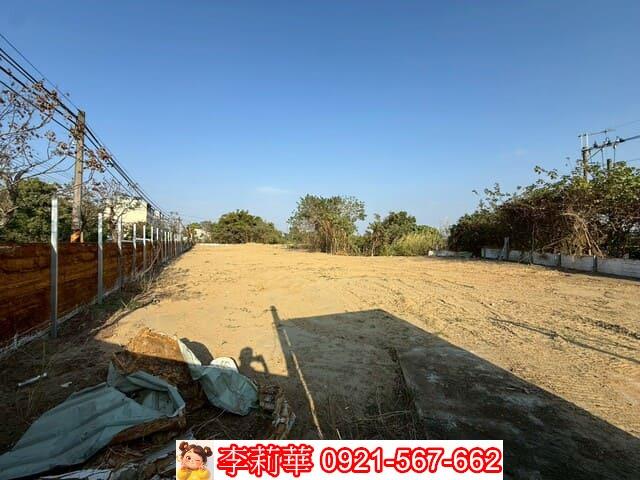 新市農地-2
