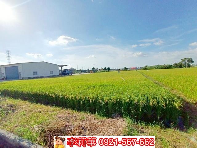 六甲農地-6