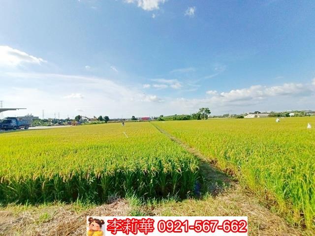 六甲農地-7