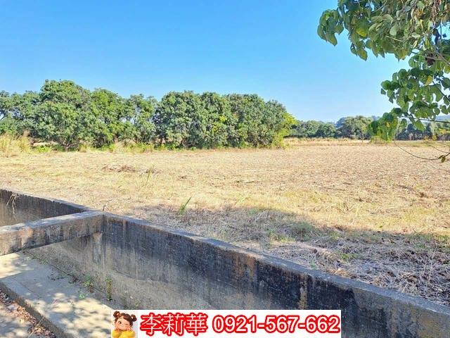 台南農地-4