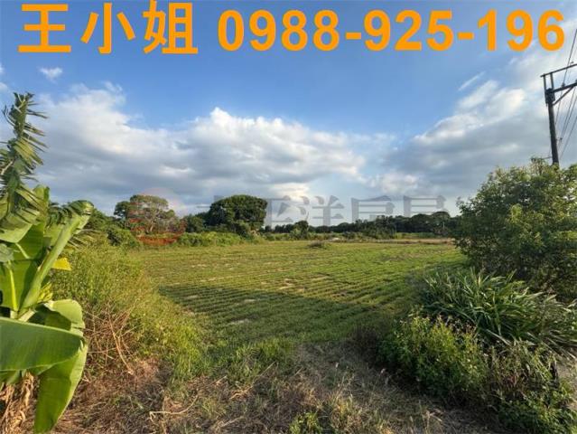 桃園楊梅農地-1