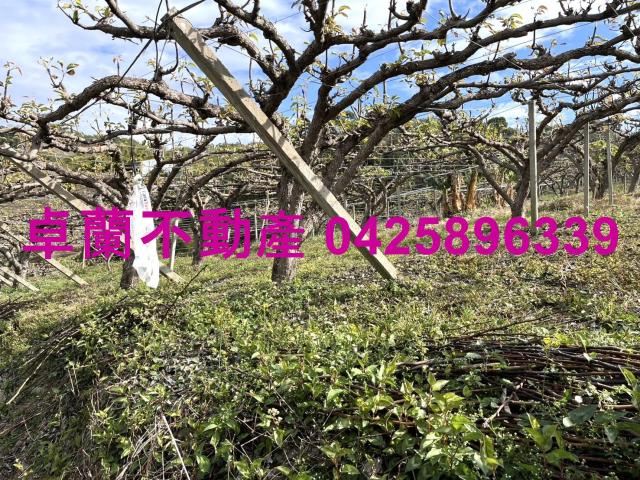 苗栗卓蘭農地-8