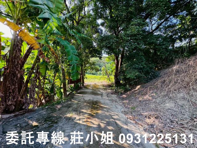 台南左鎮農地-5