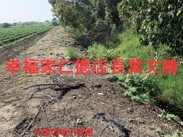 善化農地-13