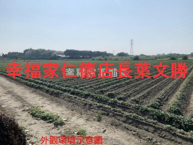 善化農地-11