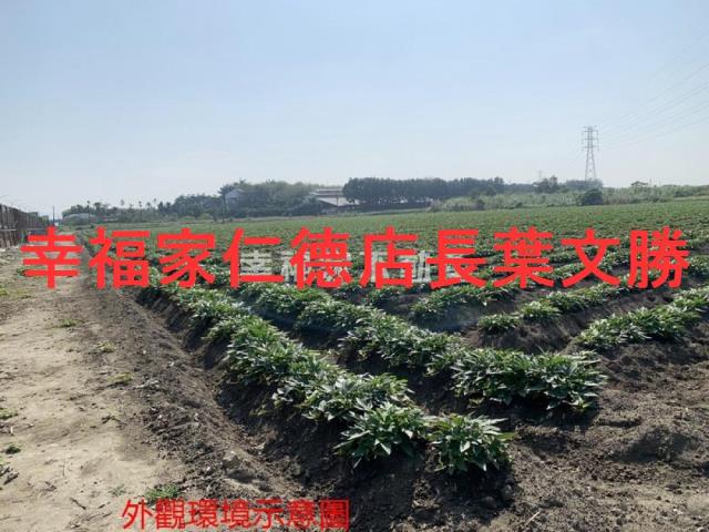 善化農地-3
