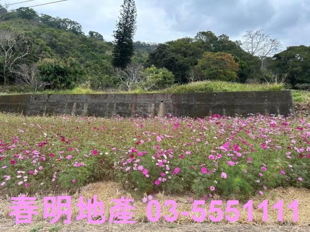 新竹縣峨嵋鄉水流東9344坪大面積農地