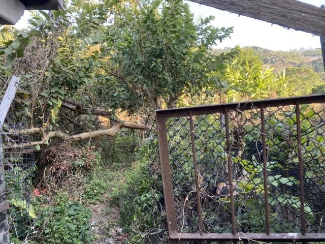 台中東勢建地-0