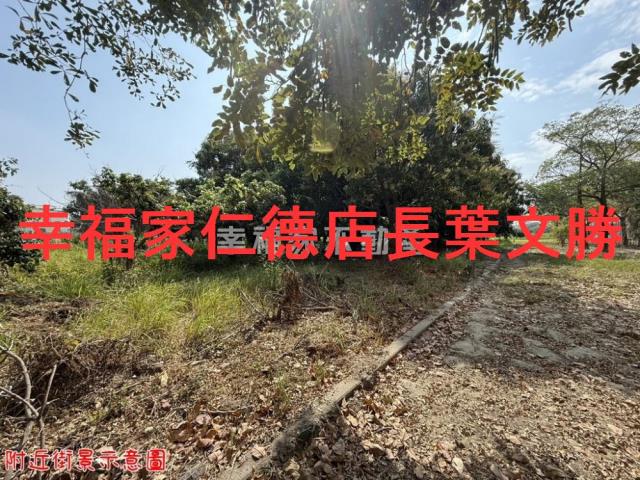 台南歸仁農地-1