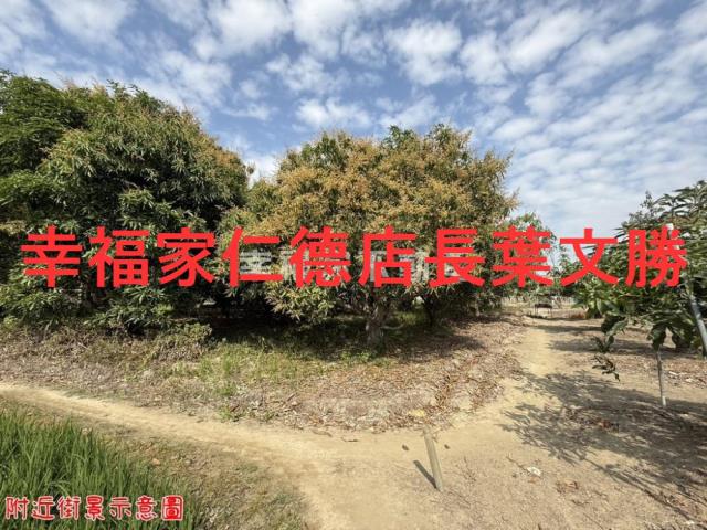 台南歸仁農地-3