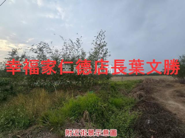 台南歸仁農地-7