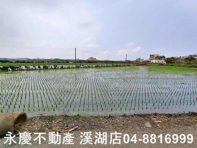 彰化福興農地-2